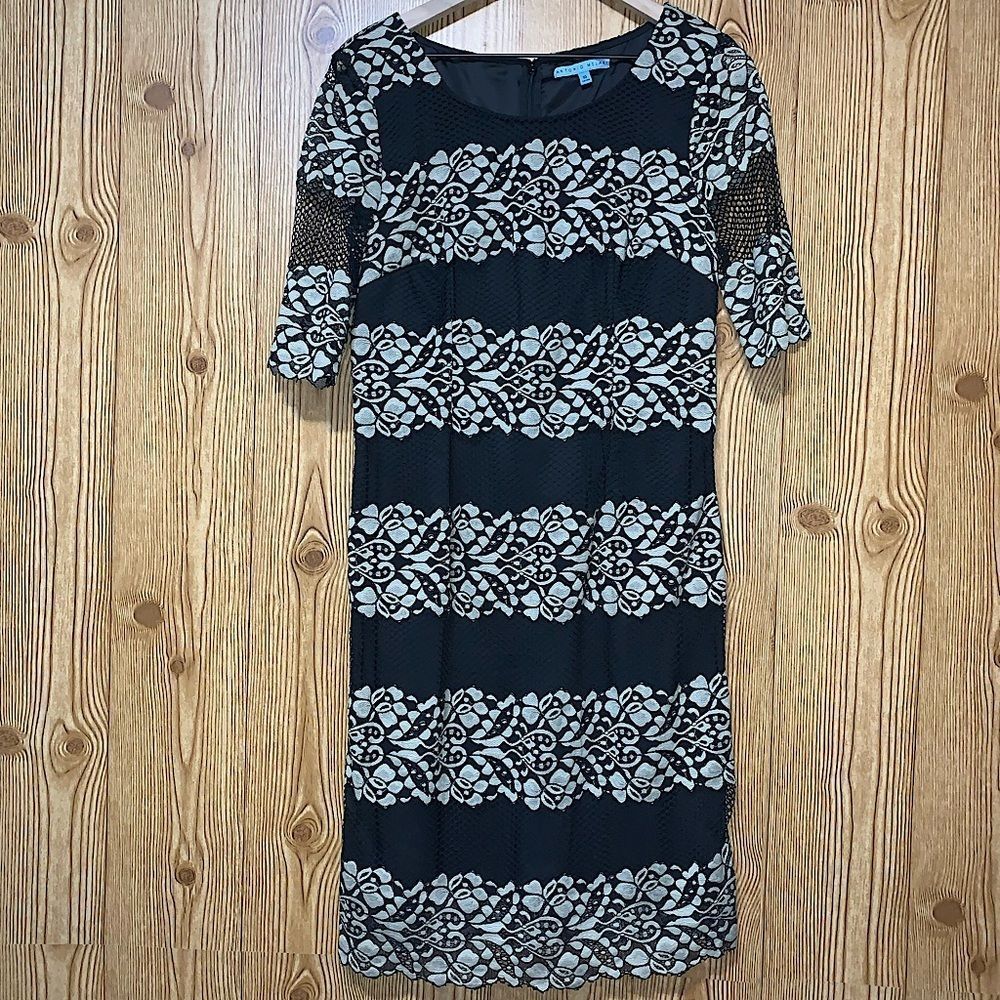 Antonio Melani | Clove Lace Dress
